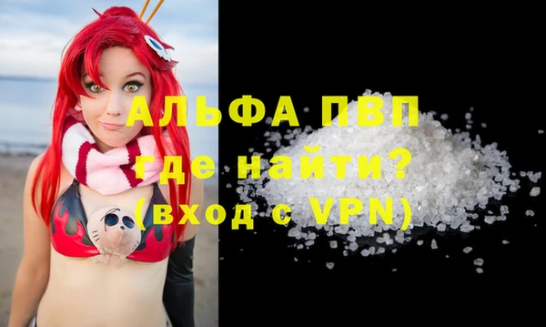 дурь Инта