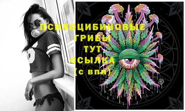 дурь Инта