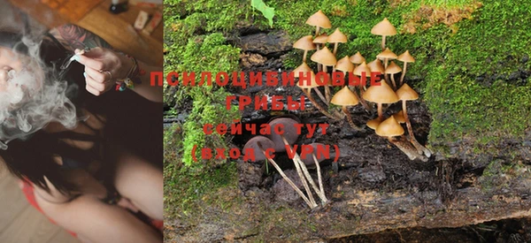MDMA Premium VHQ Касимов