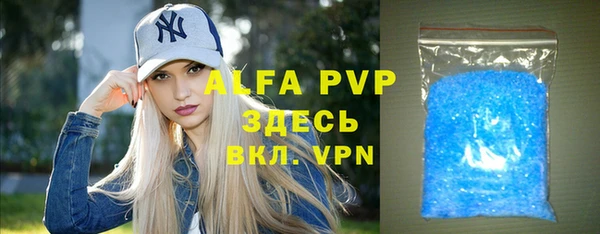 дурь Инта