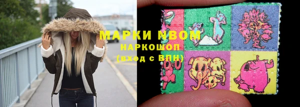 дурь Инта