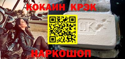 шишки Дубна
