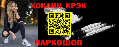 шишки Дубна