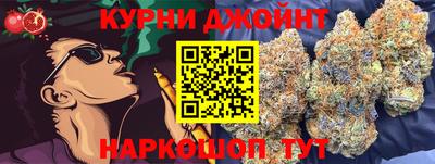 шишки Дубна