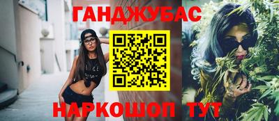 шишки Дубна