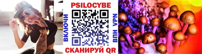 мега зеркало  Красноармейск  Псилоцибиновые грибы Magic Shrooms 