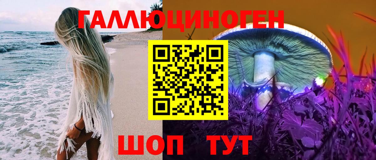 Галлюциногенные грибы MAGIC MUSHROOMS  Псилоцибиновые грибы MAGIC MUSHROOMS  Красноармейск  Вход с VPN 